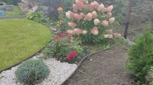 Блинчики с маслом!!! Начали зацветать розы!!! Работа по благоустройству продолжается!!!