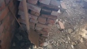 Гости. Поездка в Ростов...