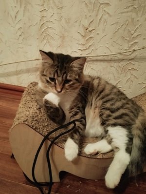 отдых с мамой