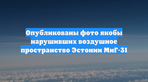 Опубликованы фото якобы нарушивших воздушное пространство Эстонии МиГ-31