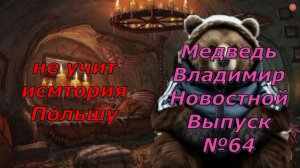 Медведь Владимир Новостной Выпуск №64 Польша ни учится на ошибках