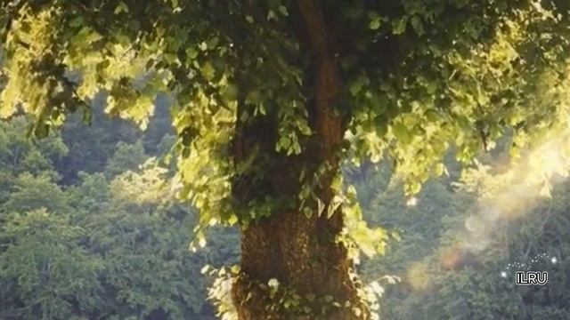 Слушать рассказ  -Искусство соблазнения  - Удивительные истории из жизни