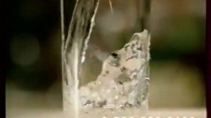 Анонс и реклама (Россия, 21.12.2008). 2