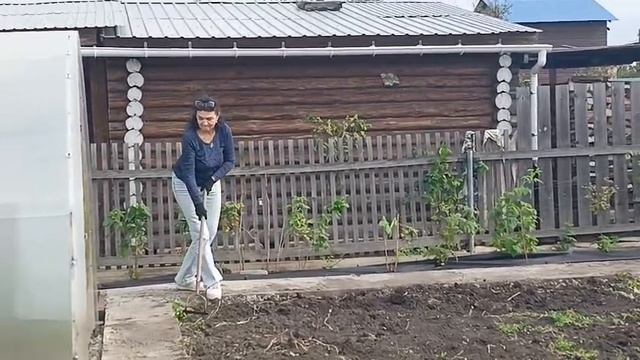 РАЗМИНАЮСЬ В ОГОРОДЕ