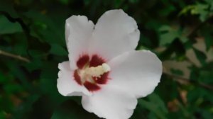 19=09=2025  кмр   (20)