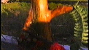 Композиция цветов  Поспелиха 2000г