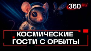 Мыши-астронавты вернулись на Землю: что месяц в космосе сделал с их генами и здоровьем?