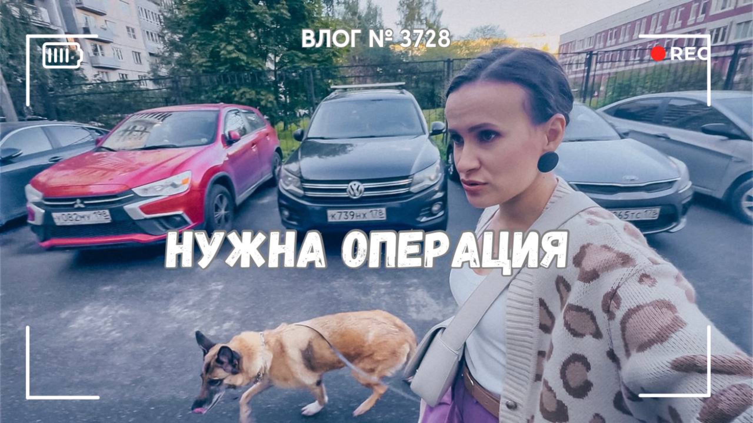 Рексе нужна срочная операция -  ВЛОГ №3728 - 19.09.25