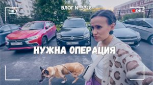 Рексе нужна срочная операция - ВЛОГ №3728 - 19.09.25