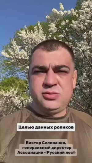 Кормовые поля в охотхозяйстве