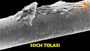 Tana a’zolari mikroskop ostida qanday ko‘rinadi ___