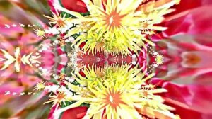 Видеофоны! Видеофон Осенняя цветочная фантазия 3 от Киностудии Мудрого Кота Тимофея!