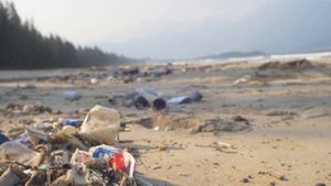 455506_Rubbish_Trash_1920x1080