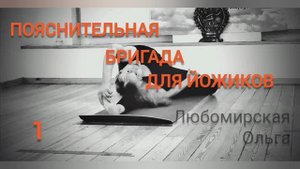 Пояснительная бригада для йожиков. Выпуск 1
НЮАНСЫ ШАВАСАНЫ