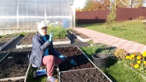 Занимаюсь грядками. Достала чеснок на посадку. Погодка отличная👍