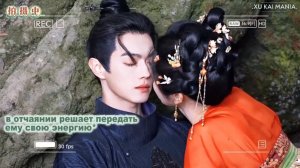 закадровые 🌖🐈🎬