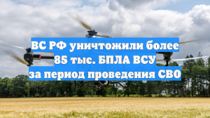 ВС РФ уничтожили более 85 тыс. БПЛА ВСУ за период проведения СВО