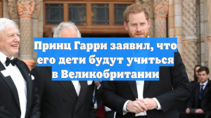Принц Гарри заявил, что его дети будут учиться в Великобритании
