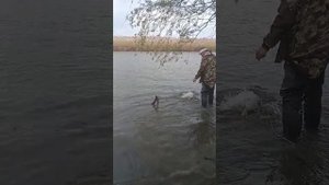 Весна 2025 улов с лучшим комментатором РФ!