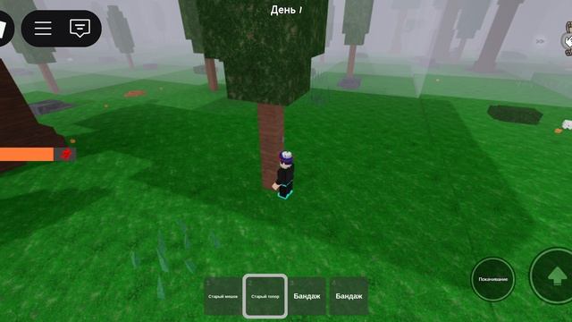 Код-Секретка в 99 ночей в лесу