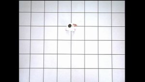 Сейенчин Вид сверху JKF