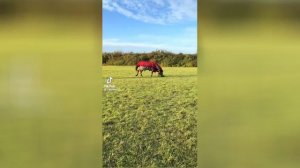 Best video of Tik Tok! 20.09.25 / 11