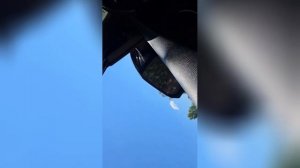 Best video of Tik Tok! 20.09.25 / 01