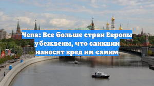 Чепа: Все больше стран Европы убеждены, что санкции наносят вред им самим