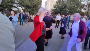 🌹Роза чайная..... 20.09.25.