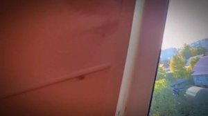 1000035009.mp4 (Собака наблюдает за устройством откосов у оконных проёмов з/фронтона дома А-фрейм)