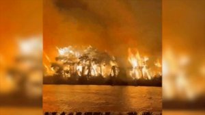 Появились кадры крупных лесных пожаров в турецкой Анталье