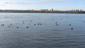 18 сентября 2025 г Енисей набережная  Красноярск- вид с правого берега города  номер 3 MVI_9778 M