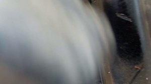 ЗАМЕНА ПРАВОЙ ПОДУШКИ ДВИГАТЕЛЯ MR20DE КАШКАЙ j10