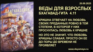Веды для взрослых. Бхагавад-гита 4.11