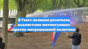 В Гааге полиция разогнала водометами митингующих против миграционной политики