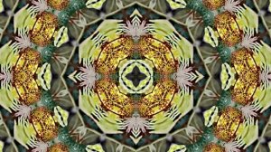 Видеофоны! Видеофон Осенняя цветочная фантазия 6 от Киностудии Мудрого Кота Тимофея!