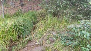 25. Теплый ключ. 5 сентября 2025 года.