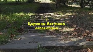 ловля стрел