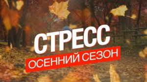 Осенний сезон: как сохранить иммунитет, метаболизм и красоту при стрессе