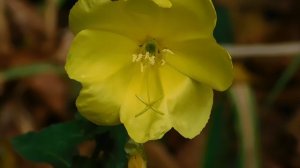 19=09=2025  кмр   (15)