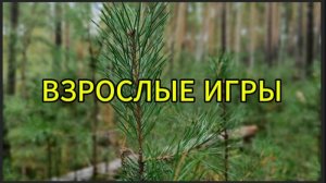 Взрослые игры