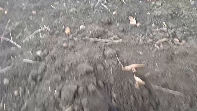 Начало осеннего копа 2025!