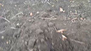 Начало осеннего копа 2025!