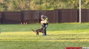 Кубок России по IGP-1. Казакова Ксения и Джанико Газа С-81, tsb - a