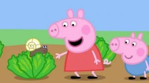 Свинка пеппа
