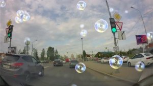 🕊️ БЕЛЫЙ ОРЁЛ - КАК УПОИТЕЛЬНЫ В РОССИИ ВЕЧЕРА " 🕊️