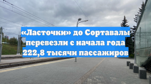 «Ласточки» до Сортавалы перевезли с начала года 222,8 тысячи пассажиров