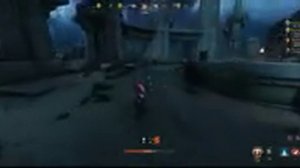 New World Leeching Build