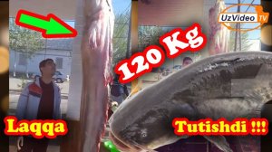 U shunchaki o'tib ketayotgandi -120 kg lik Laqqa !!!