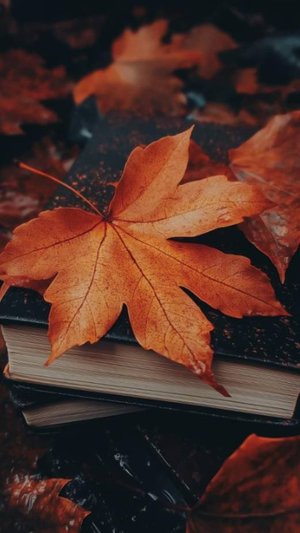 С Днём Учителя! Очень Красивое Видео Поздравление!